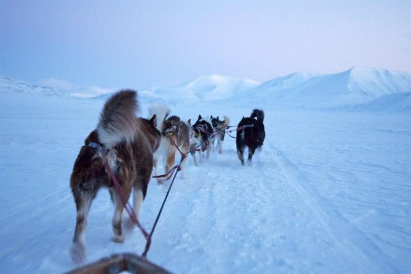 Funken Lodge Longyearbyen Exteriér fotografie